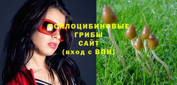 первитин Верхний Тагил