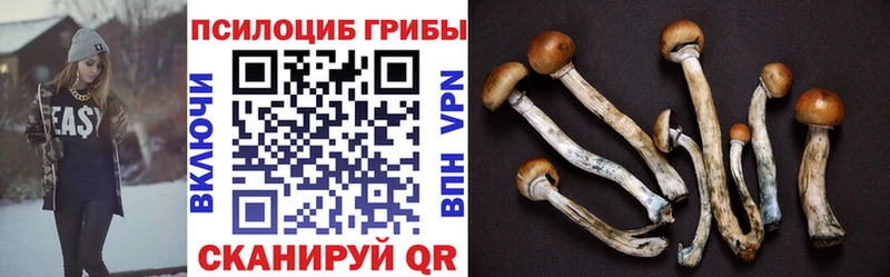 цены наркотик Воскресенск darknet как зайти Псилоцибиновые грибы Psilocybine cubensis
